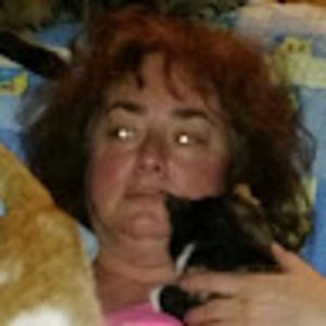 Meet your Posher, Rosa